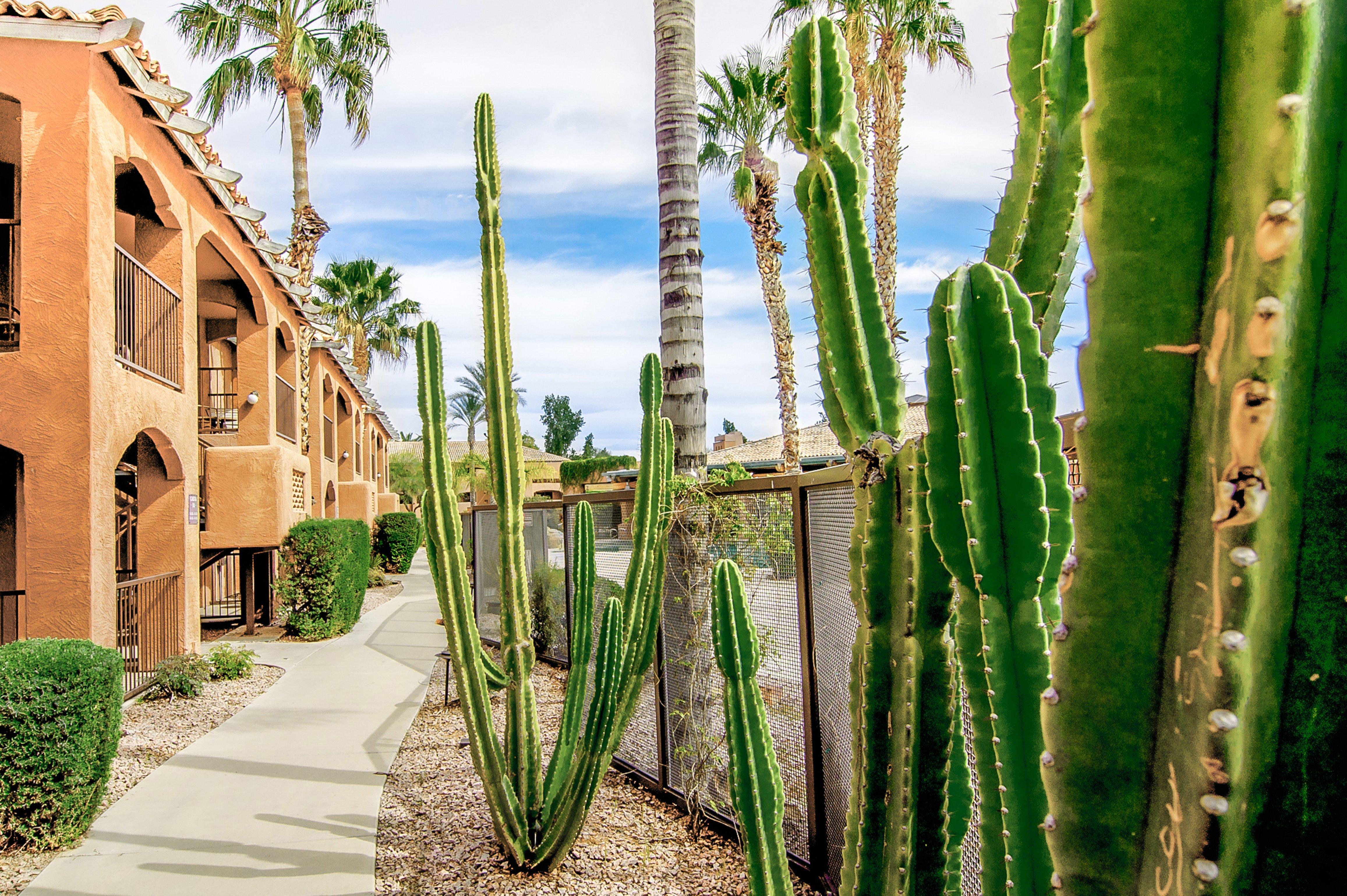Holiday Inn Club Vacations Scottsdale Resort, An Ihg Hotel Exterior photo